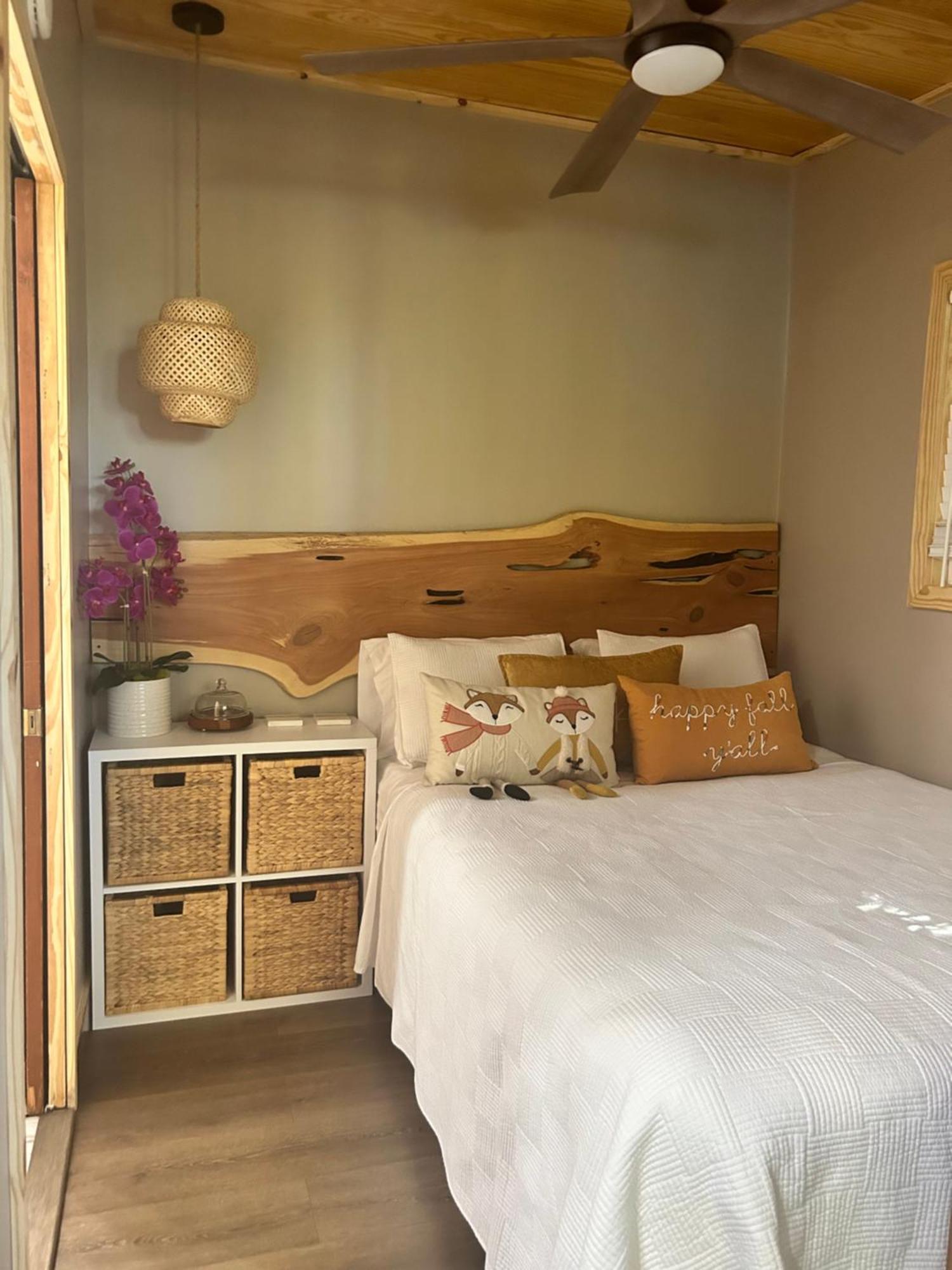 Sweet Tiny Cabin Tampa Ngoại thất bức ảnh