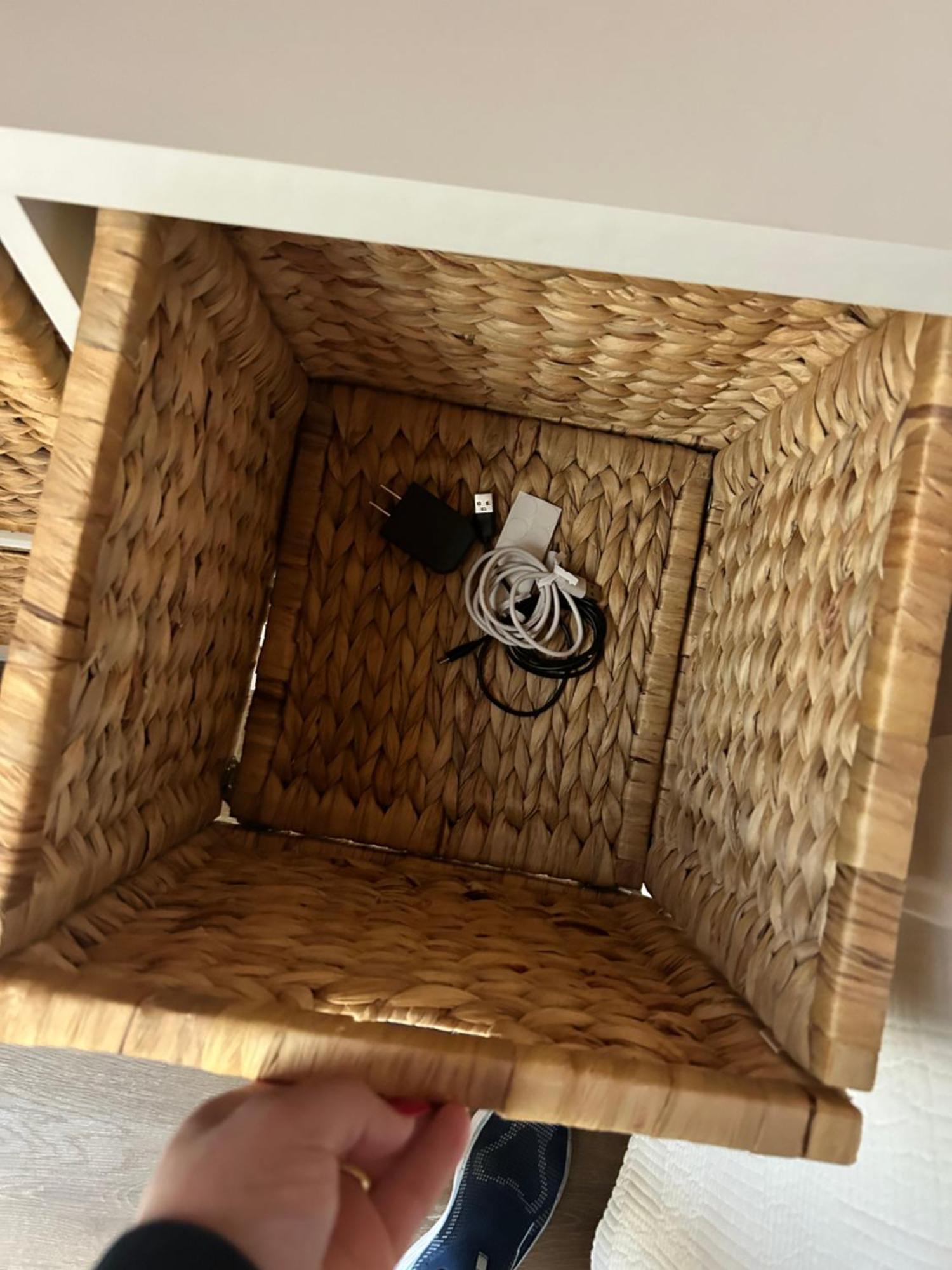 Sweet Tiny Cabin Tampa Ngoại thất bức ảnh